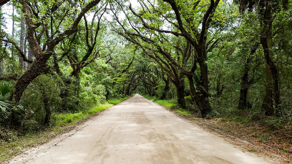 Fun things to do in Charleston : Botany Bay Planation on Edisto Island, SC.