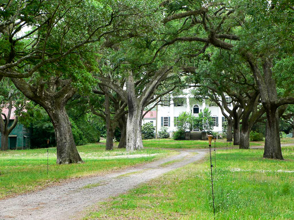 Fun things to do in Charleston : McLeod Plantation - James Island.