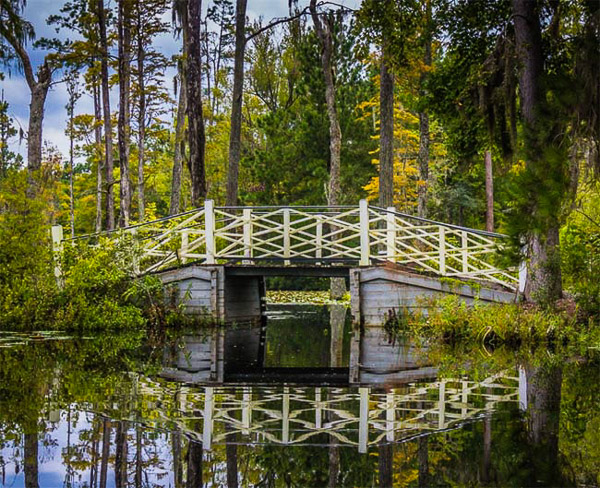 Fun things to do in Charleston : Cypress Gardens - Moncks Corner in Moncks Corner SC.